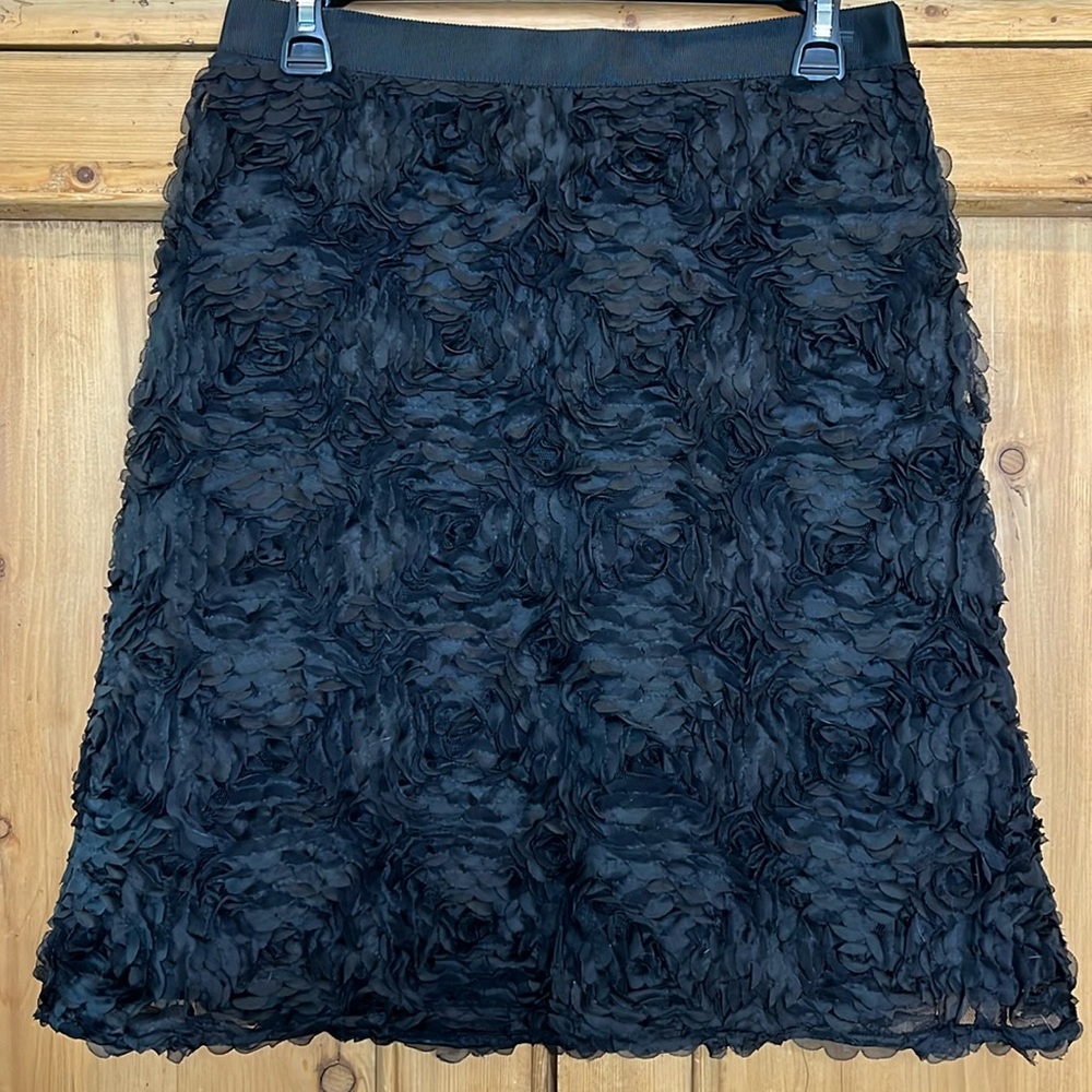 Vintage Ann Taylor Fancy Skirt